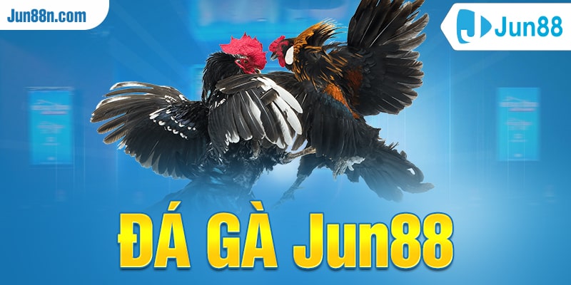 Đá gà Jun88